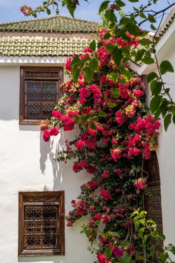 Riad Alma Marakéš Exteriér fotografie