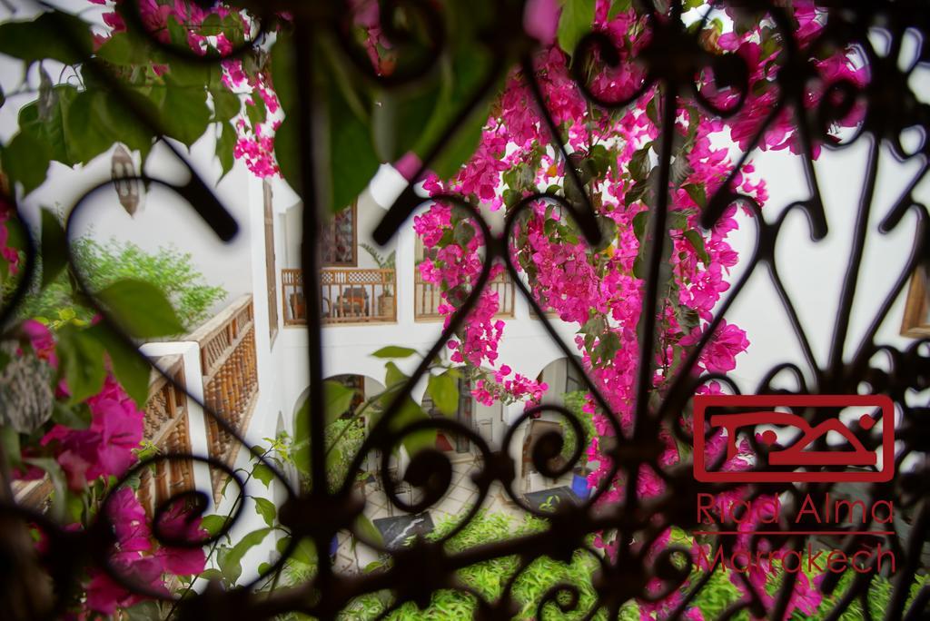 Riad Alma Marakéš Exteriér fotografie